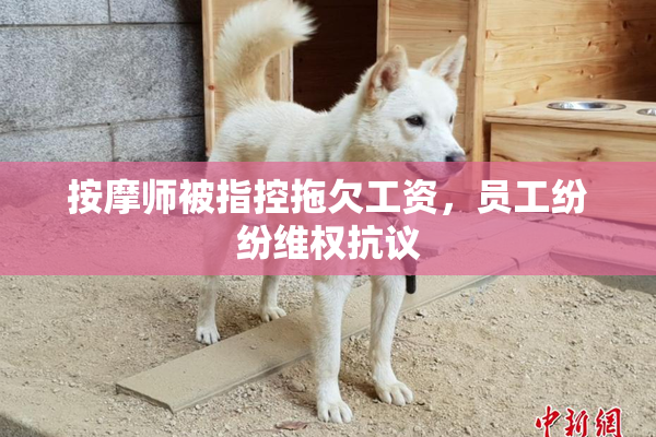 按摩师被指控拖欠工资，员工纷纷维权抗议