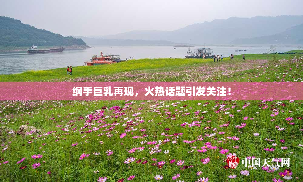 纲手巨乳再现，火热话题引发关注！