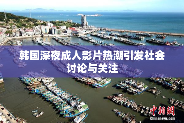 韩国深夜成人影片热潮引发社会讨论与关注