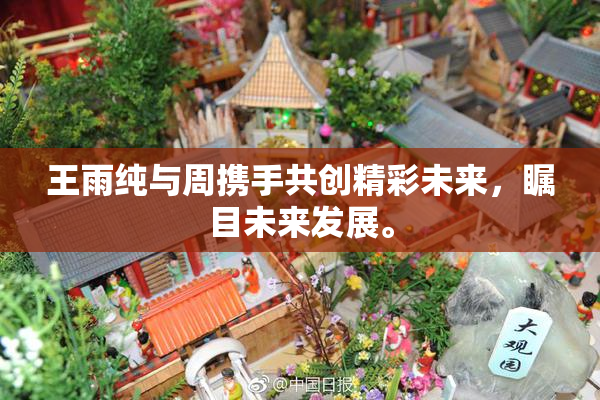 王雨纯与周携手共创精彩未来，瞩目未来发展。