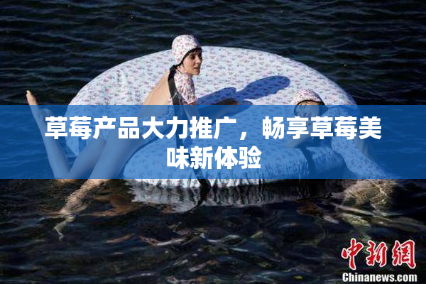 草莓产品大力推广，畅享草莓美味新体验