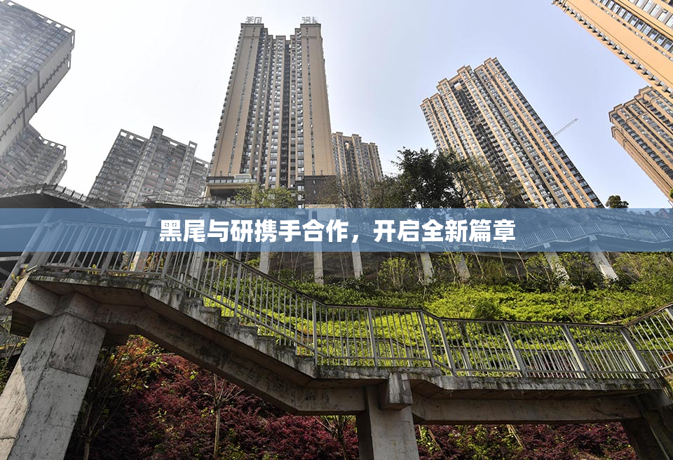 黑尾与研携手合作，开启全新篇章