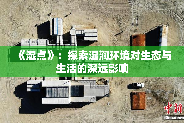 《湿点》：探索湿润环境对生态与生活的深远影响