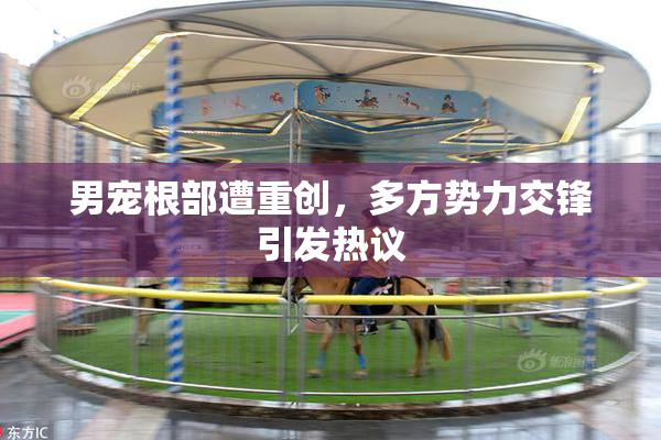 男宠根部遭重创，多方势力交锋引发热议