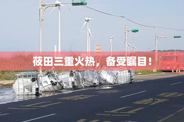莜田三重火热，备受瞩目！
