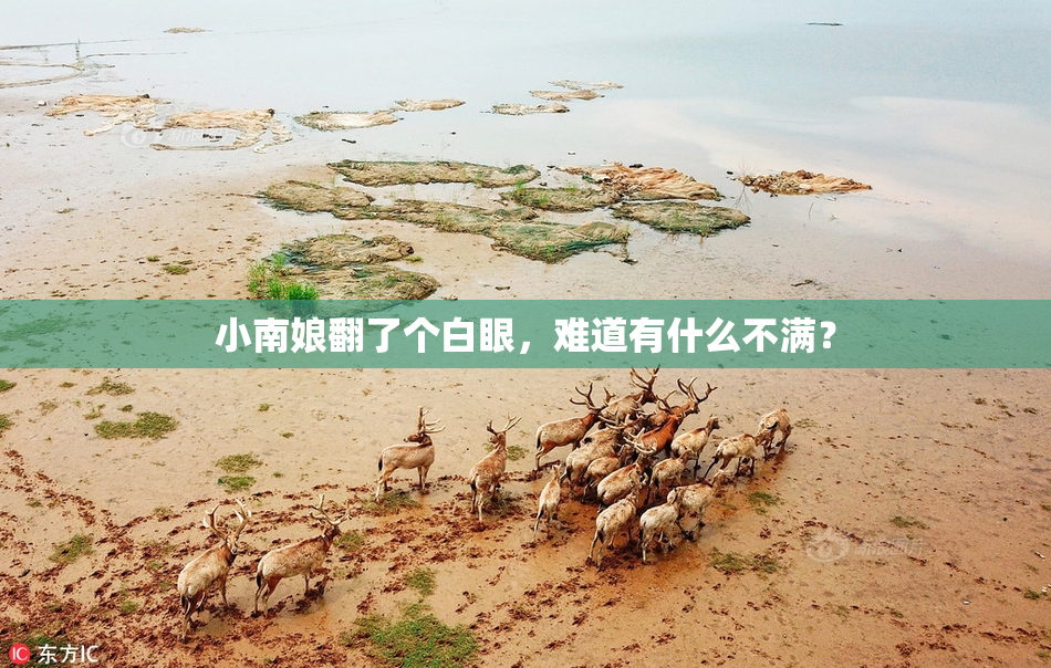 小南娘翻了个白眼，难道有什么不满？