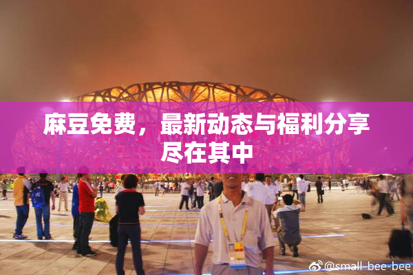 麻豆免费，最新动态与福利分享尽在其中