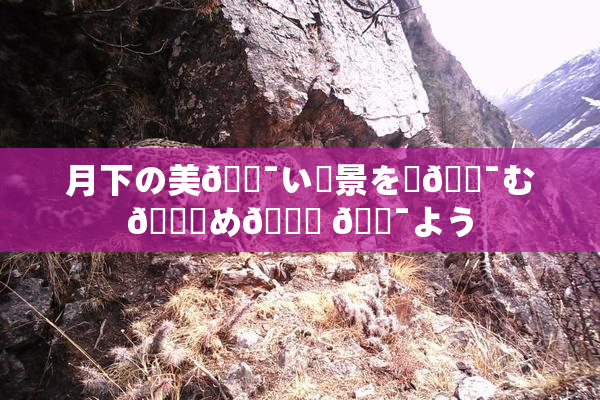 月下の美🔯い風景を楽🔯む👅め🎆 🔯よう