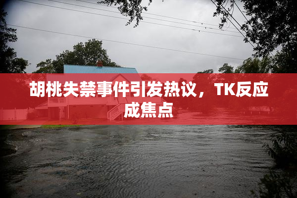 胡桃失禁事件引发热议，TK反应成焦点