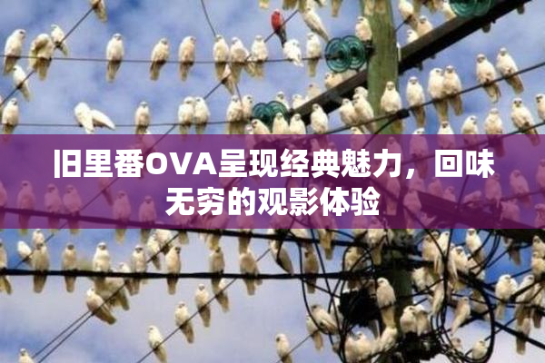 旧里番OVA呈现经典魅力，回味无穷的观影体验