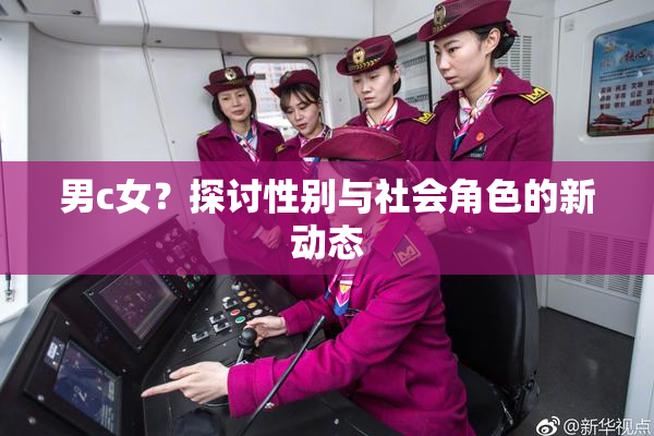 男c女？探讨性别与社会角色的新动态