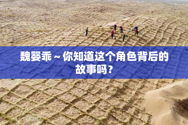 魏婴乖～你知道这个角色背后的故事吗？