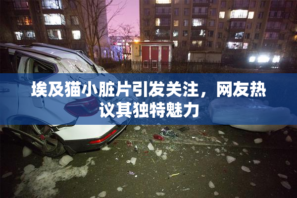 埃及猫小脏片引发关注，网友热议其独特魅力