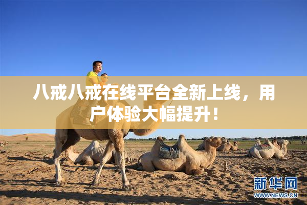 八戒八戒在线平台全新上线，用户体验大幅提升！
