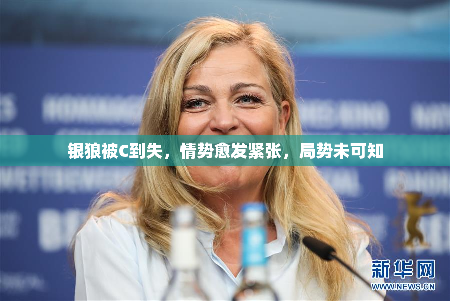 银狼被C到失，情势愈发紧张，局势未可知