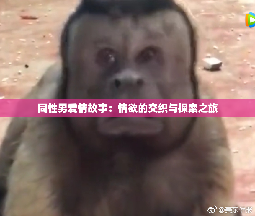 同性男爱情故事：情欲的交织与探索之旅