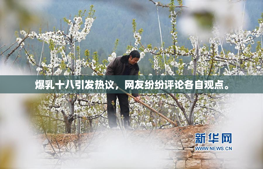 爆乳十八引发热议，网友纷纷评论各自观点。
