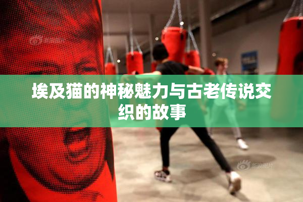 埃及猫的神秘魅力与古老传说交织的故事