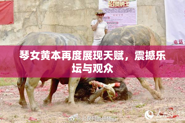 琴女黄本再度展现天赋，震撼乐坛与观众