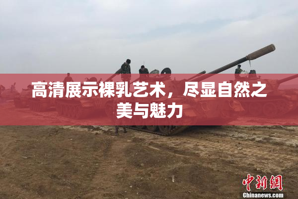 高清展示裸乳艺术，尽显自然之美与魅力