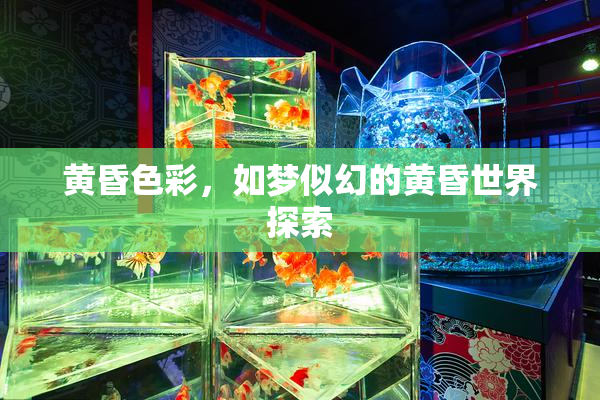 黄昏色彩，如梦似幻的黄昏世界探索