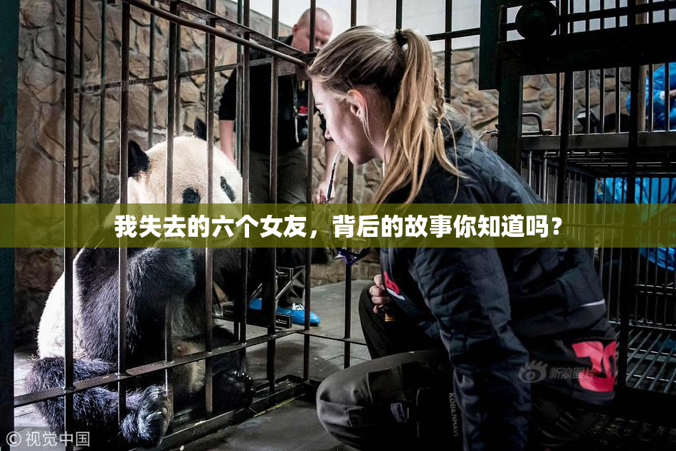 我失去的六个女友，背后的故事你知道吗？