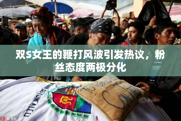 双S女王的鞭打风波引发热议，粉丝态度两极分化