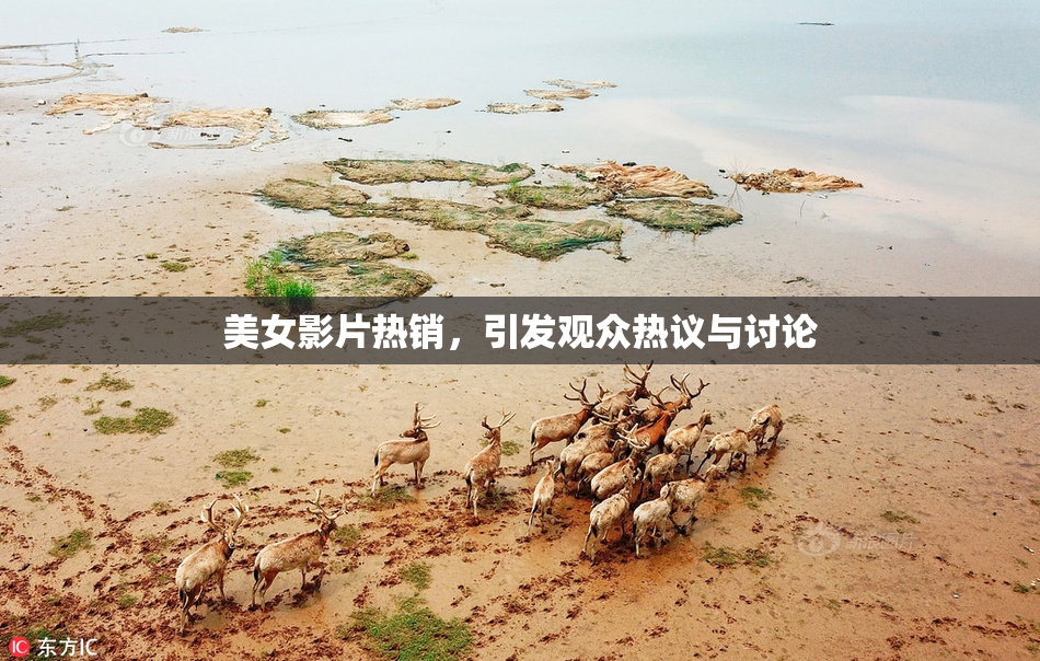 美女影片热销，引发观众热议与讨论