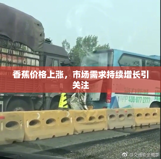 香蕉价格上涨，市场需求持续增长引关注