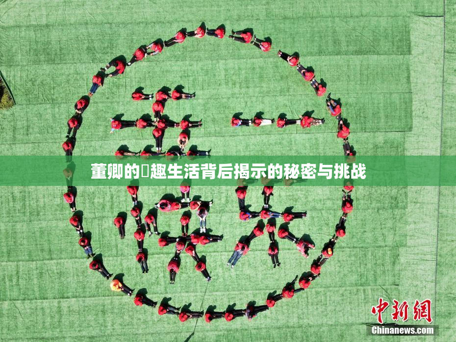 董卿的婬趣生活背后揭示的秘密与挑战