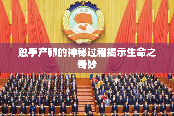触手产卵的神秘过程揭示生命之奇妙