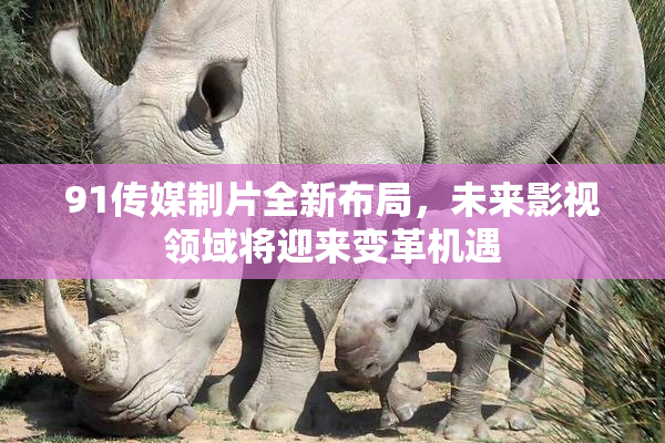 91传媒制片全新布局，未来影视领域将迎来变革机遇