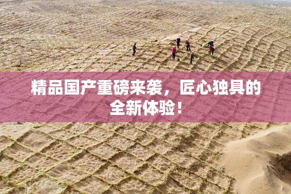 精品国产重磅来袭，匠心独具的全新体验！