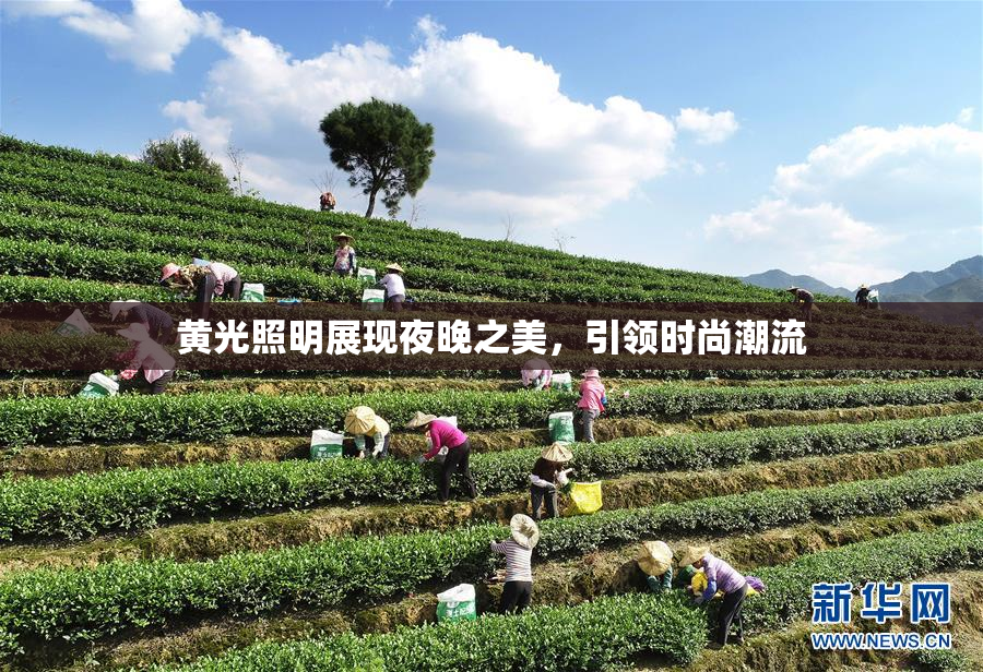 黄光照明展现夜晚之美，引领时尚潮流