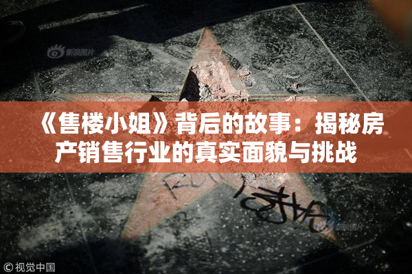 《售楼小姐》背后的故事：揭秘房产销售行业的真实面貌与挑战