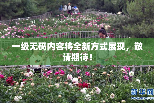 一级无码内容将全新方式展现，敬请期待！