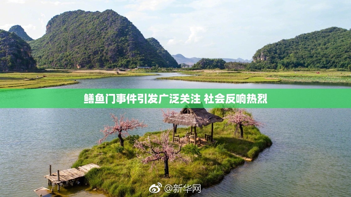 鳝鱼门事件引发广泛关注 社会反响热烈