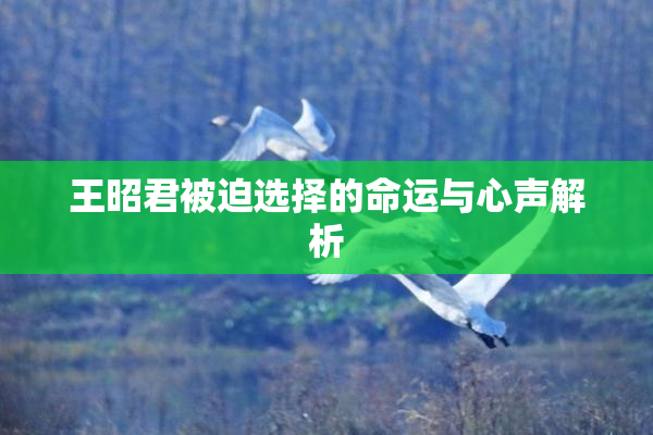 王昭君被迫选择的命运与心声解析