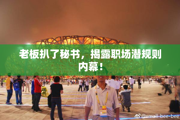 老板扒了秘书，揭露职场潜规则内幕！