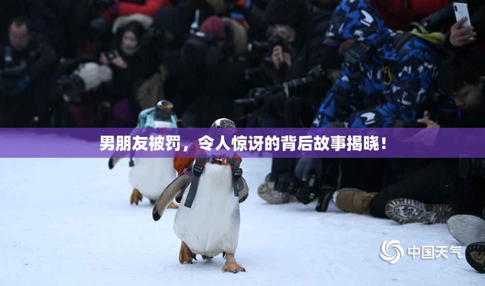 男朋友被罚，令人惊讶的背后故事揭晓！