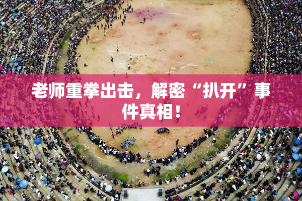 老师重拳出击，解密“扒开”事件真相！