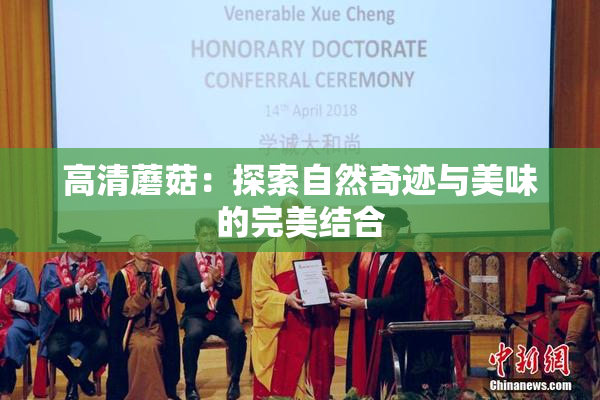 高清蘑菇：探索自然奇迹与美味的完美结合