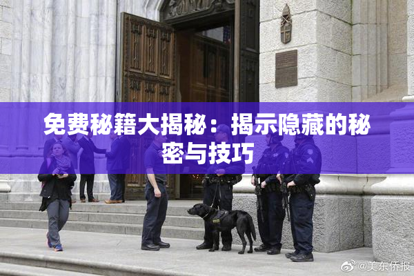 免费秘籍大揭秘：揭示隐藏的秘密与技巧