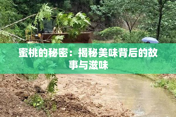 蜜桃的秘密：揭秘美味背后的故事与滋味