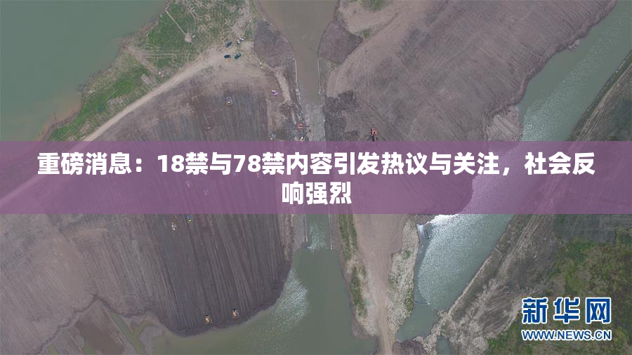 重磅消息：18禁与78禁内容引发热议与关注，社会反响强烈