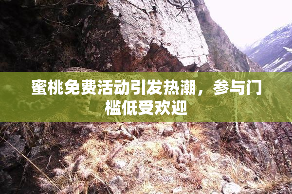 蜜桃免费活动引发热潮，参与门槛低受欢迎