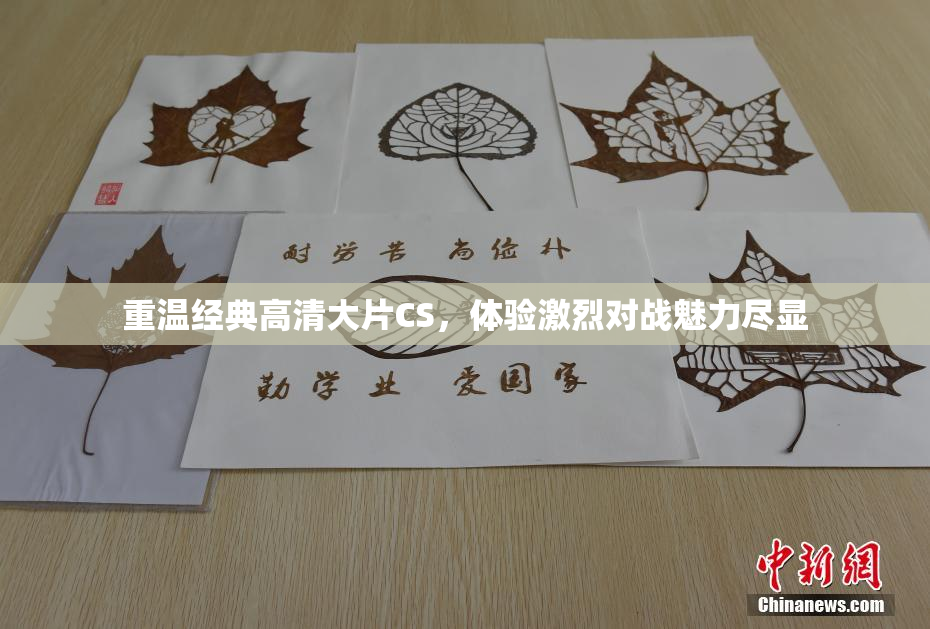 重温经典高清大片CS，体验激烈对战魅力尽显