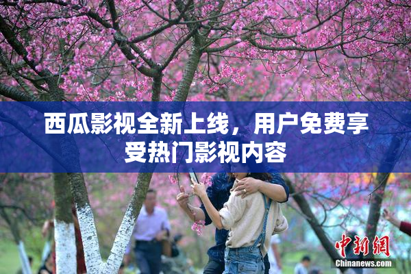 西瓜影视全新上线，用户免费享受热门影视内容