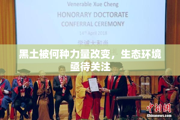 黑土被何种力量改变，生态环境亟待关注