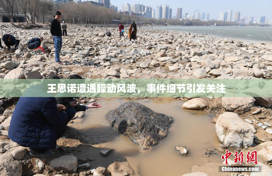 王思诺遭遇躁动风波，事件细节引发关注